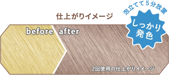 使用前の髪色 仕上がりイメージ