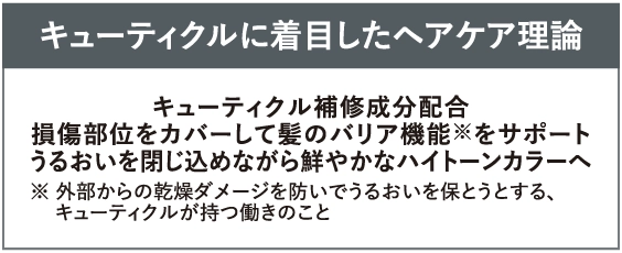 使用前の髪色 仕上がりイメージ